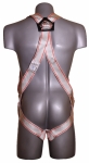 PL1 harness 1
