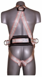 PLK1 harness 1