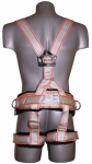 PLK3 harness 1
